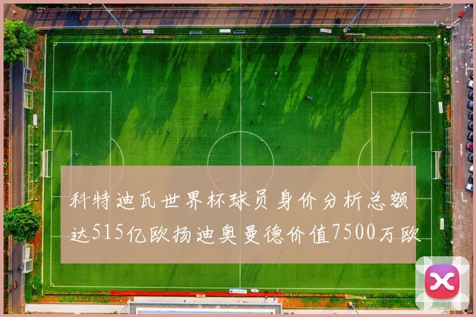 科特迪瓦世界杯球员身价分析总额达515亿欧扬迪奥曼德价值7500万欧