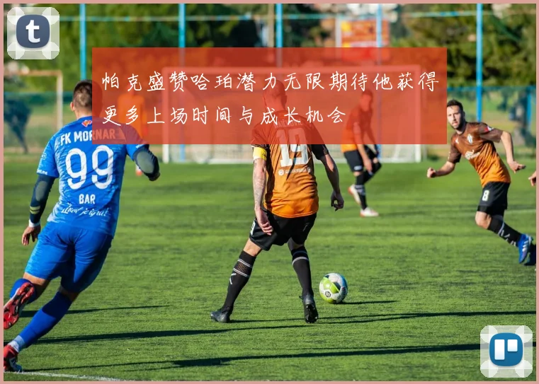 帕克盛赞哈珀潜力无限期待他获得更多上场时间与成长机会